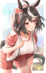 Rule 34 | 1girl, absurdres, ahoge, animal ears, black hair, blush, cowboy shot, gym shirt, gym shorts, highres, horse ears, horse girl, horse tail, jacket, kitasan black (umamusume), leaning forward, multicolored hair, open clothes, open jacket, open mouth, red eyes, red shorts, shirt, short hair, short sleeves, shorts, sky cappuccino, solo, tail, tracen training uniform, track jacket, two-tone hair, umamusume, white hair, white shirt
