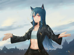 Rule 34 | 1girl, animal ear fluff, animal ears, arknights, belt, black belt, black jacket, blue hair, chinese commentary, collarbone, commentary request, cowboy shot, crop top, er tu, hair between eyes, jacket, long hair, long sleeves, looking at viewer, midriff, navel, open clothes, open jacket, outdoors, parted bangs, partial commentary, red eyes, shirt, sidelocks, solo, standing, stomach, texas (arknights), white shirt, wide sleeves, wolf ears