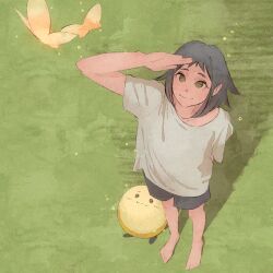 Rule 34 | 1girl, arm up, barefoot, black hair, black shorts, brown eyes, bug, butterfly, closed mouth, creature, full body, grass, highres, insect, light smile, looking up, medium hair, moshimoshibe, original, salute, shadow, shirt, shorts, standing, t-shirt, white shirt, yellow butterfly