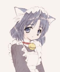 Rule 34 | 1girl, animal ears, artist request, bell, neck bell, cat ears, collar, maid, solo