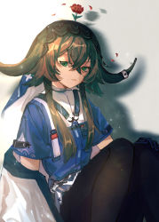 Rule 34 | 1girl, arknights, black gloves, black pantyhose, blue shirt, brown hair, closed mouth, commentary request, cow horns, feet out of frame, flower, flower on head, gloves, green eyes, grey background, guagua shijie, hair between eyes, hand on own knee, horns, jacket, light particles, light smile, looking at viewer, off shoulder, pallas (arknights), pantyhose, red flower, red rose, rose, shadow, shirt, short hair with long locks, short sleeves, sitting, solo, white jacket