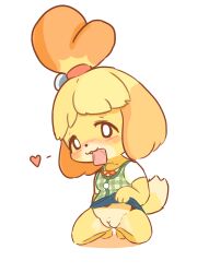 Rule 34 | 1girl, :3, animal crossing, animal ears, animal nose, barefoot, bell, blonde hair, blue skirt, blush, body fur, bow, bright pupils, chibi, cleft of venus, clothes lift, condom, condom in mouth, condom wrapper, dog ears, dog girl, dog tail, female focus, flashing, furry, furry female, green vest, groin, hair bell, hair bobbles, hair ornament, heart, isabelle (animal crossing), kneeling, looking at viewer, mouth hold, neck ribbon, nintendo, no panties, plaid, plaid vest, presenting, presenting pussy, pussy, red bow, red ribbon, ribbon, shadow, shirt, short hair, short sleeves, simple background, sitting, skirt, skirt lift, solo, solo focus, spoken heart, tail, uncensored, vest, white background, white pupils, yellow fur