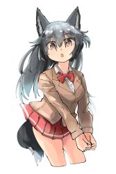Rule 34 | 10s, absurdres, alternate costume, animal ears, bow, bowtie, fox ears, fox tail, highres, kemono friends, long hair, long sleeves, multicolored hair, omnisucker, open mouth, own hands together, school uniform, silver fox (kemono friends), simple background, solo, tail, thighs, white background