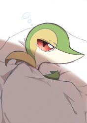 Rule 34 | closed mouth, commentary request, creatures (company), game freak, gen 5 pokemon, head on pillow, highres, inariya (pixiv 88175043), looking at viewer, lying, nintendo, no humans, on side, pillow, pokemon, pokemon (creature), red eyes, squeans, sleepy, smile, snivy, solo, tearing up, under covers