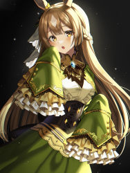 1girl :o animal_ears bad_id bad_pixiv_id black_background blue_gemstone blush braid breasts brooch brown_hair commentary_request corset cowboy_shot ear_ornament frilled_sleeves frills gem green_skirt grey_hair half_updo highres horse_ears jewelry light_particles long_hair long_sleeves looking_at_viewer masyu_jyaga medium_breasts multicolored_hair open_mouth satono_diamond_(umamusume) shrug_(clothing) simple_background skirt sleeves_past_fingers sleeves_past_wrists solo two-tone_hair umamusume very_long_hair yellow_eyes