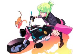 Rule 34 | 1boy, alternate hairstyle, anime coloring, bae (baebae), black gloves, cat, gloves, green hair, hair up, half gloves, highres, jacket, jewelry, leather, leather jacket, lio fotia, male focus, motor vehicle, motorcycle, promare, purple eyes, ring, short ponytail, solo, wedding band