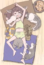 Rule 34 | 1girl, animal on arm, arms up, barefoot, bowl, brown hair, cat, commentary, cushion, closed eyes, food, from above, green shirt, green shorts, hair ornament, lying, midriff, navel, on back, open mouth, pajamas, saitou tasuke, senbei, shirt, short hair, short twintails, shorts, sleeping, spaghetti strap, touhoku kiritan, twintails, voiceroid, wooden floor