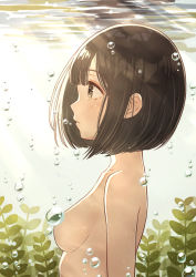 Rule 34 | 1girl, air bubble, bad id, bad pixiv id, blunt bangs, blush, bob cut, breasts, brown eyes, brown hair, bubble, bubble censor, censored, censored nipples, closed mouth, collarbone, convenient censoring, day, from side, highres, light rays, looking away, nude, original, outdoors, plant, profile, short hair, small breasts, solo, submerged, sunbeam, sunlight, tanbonota46, underwater, upper body