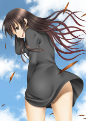 Rule 34 | 1girl, ass, black dress, brown eyes, brown hair, cloud, day, dress, female focus, from behind, highres, leaf, long hair, looking back, old-one, open mouth, original, outdoors, skirt, sky, solo, wind