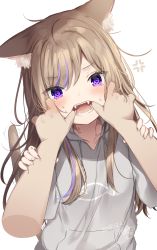 Rule 34 | 1girl, anger vein, animal ear fluff, animal ears, bad id, bad pixiv id, blush, cat ears, cat girl, cat tail, collarbone, commentary request, dated, disembodied limb, fangs, finger in another&#039;s mouth, fingernails, grey hoodie, hair between eyes, highres, hood, hood down, hoodie, light brown hair, long hair, looking at viewer, mafuyu (chibi21), multicolored hair, open mouth, original, purple eyes, purple hair, signature, simple background, solo focus, streaked hair, sweat, tail, tail raised, tears, very long hair, white background