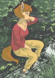 Rule 34 | 1girl, animal ears, animal nose, brown hair, closed mouth, furry, furry female, grass, half-closed eyes, hand on lap, highres, long sleeves, looking to the side, nature, neck, original, outdoors, pants, parted bangs, red shirt, shirt, sitting, soaking feet, solo, tail, water, wetland, yanamosuda