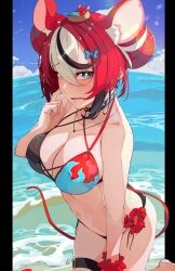 Rule 34 | 1girl, absurdres, animal ears, beach, bikini, black hair, blue eyes, blue sky, blush, breasts, choker, cleavage, cloud, collarbone, commentary, day, english commentary, flower, hakos baelz, highres, hololive, hololive english, horizon, looking at viewer, moyomo, mr. squeaks (hakos baelz), multicolored hair, navel, ocean, outdoors, pillarboxed, red flower, red hair, side-tie bikini bottom, sky, solo, streaked hair, swimsuit, virtual youtuber, water, waves, white hair