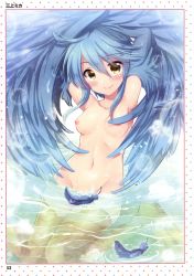 Rule 34 | 1girl, absurdres, ahoge, arms up, artbook, artist name, bird legs, blue hair, blue wings, blush, border, breasts, completely nude, convenient censoring, feathered wings, feathers, groin, harpy, highres, lips, looking at viewer, mikami mika, monster girl, monster musume no iru nichijou, navel, nipples, no bra, no humans, no panties, nude, official art, page number, papi (monster musume), partially submerged, scan, short hair with long locks, sidelocks, sitting, small breasts, smile, solo, stomach, topless, wariza, water, white border, winged arms, wings, yellow eyes
