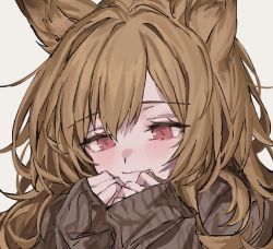 Rule 34 | 1girl, :3, alternate costume, animal ears, aogisa, arknights, blush, brown hair, brown sweater, ceobe (arknights), closed mouth, commentary, dog ears, long hair, long sleeves, red eyes, simple background, sleeves past wrists, smile, solo, sweater, symbol-only commentary, white background