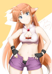 Rule 34 | 1girl, animal ears, arf, ban (777purin), black gloves, black panties, blue eyes, blush, breasts, brown hair, cleavage, closed mouth, dated, fang, fingerless gloves, gloves, highres, long hair, looking at viewer, lyrical nanoha, medium breasts, midriff, navel, open clothes, open shorts, panties, purple shorts, shorts, signature, simple background, smile, solo, tail, underwear, wolf ears, wolf girl, wolf tail