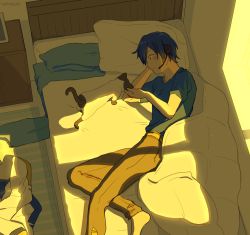 Rule 34 | 1boy, arm support, barefoot, bed, blanket, blue eyes, blue hair, blue scarf, blue shirt, brown pants, cat, coat, unworn coat, commentary, from above, head rest, headset, kaito (vocaloid), looking at animal, lying, male focus, nokuhashi, on side, pants, pillow, scarf, unworn scarf, shirt, short sleeves, sunlight, vocaloid, white cat, white coat, window