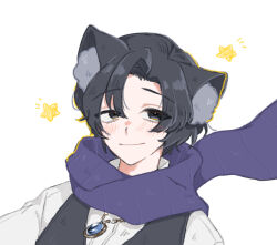 Rule 34 | 1boy, animal ear fluff, animal ears, blue gemstone, blue scarf, blush, cat ears, closed mouth, collared shirt, demian (project moon), gem, jewelry, limbus company, long sleeves, looking at viewer, male focus, necklace, parted bangs, project moon, scarf, shirt, smile, solo, star (symbol), uchimura (rino0525), white shirt