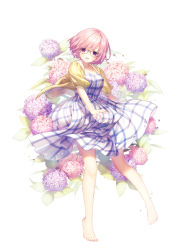 Rule 34 | 1girl, artist name, dress, fate/grand order, fate (series), floral background, flower, glasses, highres, hydrangea, jacket, looking at viewer, mash kyrielight, mash kyrielight (senpai killer outfit), official alternate costume, open mouth, plaid, plaid dress, purple eyes, purple hair, revision, rosuuri, short hair, smile, solo, standing, yellow jacket