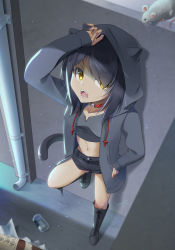 Rule 34 | 1girl, alley, animal ears, animal hood, bare legs, black footwear, black hair, black shorts, boots, cat ears, cat hood, cat tail, commentary request, cross-laced footwear, dark skin, hair over one eye, hood, hoodie, jacket, knee boots, lace-up boots, long sleeves, looking at viewer, midriff, mouse (animal), open clothes, open hoodie, open jacket, open mouth, original, sasatsuyu, short shorts, shorts, tail, v-shaped eyebrows, yellow eyes