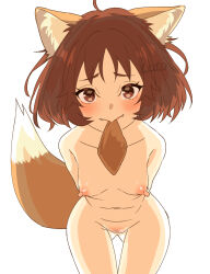 Rule 34 | 1girl, aburaage, ahoge, animal ear fluff, animal ears, arms behind back, arms behind head, artist name, bent over, blush, bob cut, breasts, brown eyes, brown hair, brown tail, censored, closed mouth, collarbone, commentary, commission, completely nude, don gitsune, eyelashes, fake animal ears, fangs, food, food in mouth, fox ears, fox girl, fox tail, gluteal fold, groin, handkerchief, highres, leaning forward, looking at viewer, messy hair, mosaic censoring, mouth hold, navel, nipples, nissin, nude, pussy, raised eyebrows, short hair, signature, simple background, small breasts, smile, solo, standing, straight-on, tail, tail raised, tofu, toko (tenerezza666), v arms, white background