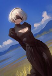Rule 34 | 1girl, 2b (nier:automata), absurdres, adapted costume, arms behind back, black blindfold, black dress, black hairband, blindfold, blue sky, breasts, chinese commentary, cleavage cutout, closed mouth, clothing cutout, cloud, commentary request, covered eyes, day, dress, dutch angle, facing viewer, feet out of frame, grey hair, hairband, highres, juliet sleeves, long dress, long sleeves, medium hair, nier:automata, nier (series), outdoors, puffy sleeves, shadow, sky, small breasts, solo, swept bangs, yao liao wang