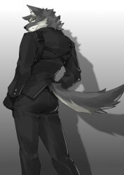 Rule 34 | 1boy, animal ears, arknights, black eyes, black pants, black suit, colored sclera, feet out of frame, formal, from behind, furry, furry male, gambino (arknights), grey background, harness, looking at viewer, looking back, male focus, pants, scar, scar on face, scar on nose, sokimi (sosojovan), suit, tail, wolf boy, wolf ears, wolf tail, yellow sclera