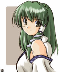 Rule 34 | 1girl, bare shoulders, brown eyes, detached sleeves, female focus, frog, frog hair ornament, green eyes, green hair, hair ornament, hana (hana mo arashi mo), kochiya sanae, long sleeves, looking at viewer, lowres, matching hair/eyes, nontraditional miko, simple background, smile, snake, snake hair ornament, solo, touhou, upper body, white background
