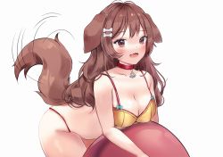 Rule 34 | 1girl, animal ears, anyuu, ball, bone hair ornament, bra, breasts, brown eyes, brown hair, cleavage, collar, commentary, dog ears, dog girl, dog tail, exercise ball, fang, floppy ears, hair ornament, hololive, inugami korone, large breasts, long hair, looking at viewer, open mouth, red collar, simple background, skin fang, swimsuit, tail, tail wagging, underwear, virtual youtuber, white background, yellow bra