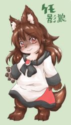 Rule 34 | androgynous, animalization, artist request, brown eyes, brown hair, furry, gender request, highres, imaizumi kagerou, long hair, team shanghai alice, touhou, wolf