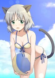 Rule 34 | 1girl, animal ears, ball, beachball, bikini, blush, breasts, cat ears, cat tail, cleavage, dot nose, female focus, front-tie bikini top, front-tie top, green eyes, guchiaki, highres, holding, holding ball, looking at viewer, navel, ocean, open mouth, outdoors, sanya v. litvyak, short hair, side-tie bikini bottom, sky, small breasts, smile, solo, strike witches, striped bikini, striped clothes, swimsuit, tail, white hair, world witches series