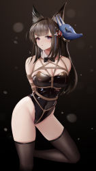 Rule 34 | 1girl, absurdres, amagi (azur lane), animal ear fluff, animal ears, arms behind back, azur lane, bdsm, black bow, black bowtie, black leotard, black thighhighs, blunt bangs, bondage, bound, bound arms, bow, bowtie, breasts, brown hair, chinese commentary, cleavage, commentary request, crotch rope, detached collar, fox ears, fox mask, highleg, highleg leotard, highres, large breasts, leotard, long hair, looking at viewer, makeup, mascara, mask, mask on head, nontraditional playboy bunny, playboy bunny, purple eyes, pursed lips, restrained, shibari, shibari over clothes, sidelocks, solo, strapless, strapless leotard, thighhighs, yuuraku yuraku