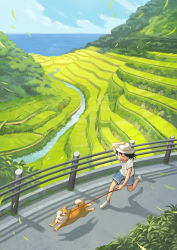 Rule 34 | 1girl, :3, :d, absurdres, black hair, blue shorts, blue sky, child, day, dog, from above, guard rail, hand on headwear, highres, holding, holding leash, horizon, leash, nishimawari kouro, ocean, open mouth, original, outdoors, rice paddy, road, running, scenery, shiba inu, shirt, shoes, short sleeves, shorts, sky, smile, white footwear, white shirt