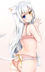 Rule 34 | 1girl, animal ear fluff, animal ears, ass, ass cutout, back, blue eyes, blush, bow, bra, breasts, butt crack, cat ears, cat girl, cat tail, choker, clothing cutout, commentary request, fang, from behind, gradient background, heterochromia, highres, katsushika pachi, lace, lace-trimmed panties, lace trim, lingerie, long hair, looking at viewer, looking back, original, panties, pink bra, pink panties, silver hair, simple background, skin fang, smile, solo, tail, underwear, underwear only, yellow bow, yellow eyes
