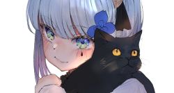 Rule 34 | 1girl, aged down, bad id, bad twitter id, black cat, blush, cat, close-up, commentary request, facial mark, girls&#039; frontline, green eyes, hair ornament, hani haya, hk416 (black kitty&#039;s gift) (girls&#039; frontline), hk416 (girls&#039; frontline), looking at viewer, official alternate costume, portrait, silver hair, smile, solo, teardrop