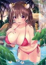 Rule 34 | 1girl, :d, absurdres, animal ears, bikini, blush, breasts, brown hair, cat ears, cat tail, collarbone, cropped, flower, hand on own chest, highres, large breasts, leaf, leaning forward, long hair, mataro (matarou), nail polish, navel, open mouth, palm tree, plumeria, purple eyes, red bikini, rock, scan, side-tie bikini bottom, skindentation, smile, solo, string bikini, swimsuit, tail, tiger ears, tiger tail, toranoana, tree, twintails, wading, water, waterfall, wet