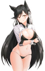 Rule 34 | 1girl, absurdres, alternate costume, animal ear fluff, animal ears, arms under breasts, atago (azur lane), atago (stunning speedster) (azur lane), azur lane, bikini, black bikini, blush, breasts, brown eyes, brown hair, cleavage, closed mouth, commentary request, cowboy shot, gr greeze, groin, hair ribbon, hand on own chest, highres, large breasts, long hair, long sleeves, looking at viewer, mole, mole under eye, navel, race queen, ribbon, shrug (clothing), sidelocks, simple background, skindentation, smile, solo, stomach, swimsuit, white background