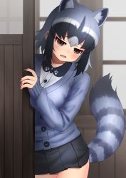 Rule 34 | 1girl, absurdres, adapted costume, animal ear fluff, animal ears, black hair, black nails, black skirt, blue cardigan, brown eyes, buttons, cardigan, common raccoon (kemono friends), cowboy shot, deku suke, extra ears, fang, grey hair, highres, indoors, kemono friends, long sleeves, looking at viewer, medium hair, multicolored hair, nail polish, open mouth, peeking out, pleated skirt, raccoon ears, raccoon girl, raccoon tail, school uniform, shirt, skin fang, skirt, sleeves past wrists, solo, striped tail, tail, white hair, white shirt