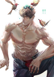 Rule 34 | 1boy, abs, bara, bird, closed mouth, commentary, egg, highres, large pectorals, male focus, mature male, muscular, muscular male, navel, nipples, original, pectorals, solo, stomach, topless male, ueno kishi