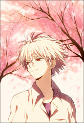 Rule 34 | 1boy, cherry blossoms, hasegawa (yonbunnoichi), male focus, nagisa kaworu, neon genesis evangelion, red eyes, short hair, solo, white hair
