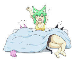 Rule 34 | 3girls, animal ears, arms up, artist self-insert, ass, bad id, bad pixiv id, barefoot, black shorts, blush, breasts, cat ears, cat girl, cat tail, closed eyes, collarbone, commentary, green hair, greenteaneko, greenteaneko-chan, hair between eyes, highres, medium breasts, multiple girls, open mouth, original, pillow, shadow, short shorts, shorts, soles, stretching, tail, tank top, tears, under covers, white background, yellow tank top, zzz