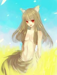 Rule 34 | 00s, 1girl, animal ears, breasts, emi (emi43), holo, medium breasts, nude, solo, spice and wolf, tail, wolf ears, wolf tail