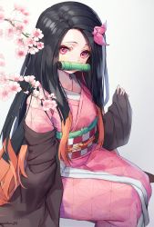 Rule 34 | 1girl, absurdres, bad id, bad pixiv id, bamboo, bit gag, black hair, branch, brown eyes, checkered sash, commentary request, flower, gag, grey background, hair ribbon, hand up, highres, japanese clothes, kamado nezuko, kimetsu no yaiba, kimono, long hair, long sleeves, looking at viewer, mouth hold, multicolored hair, obi, off shoulder, open clothes, parted bangs, pinching sleeves, pink flower, pink kimono, pink ribbon, poharo, red eyes, ribbon, sash, simple background, sitting, sleeves past wrists, solo, twitter username, two-tone hair, very long hair, wide sleeves