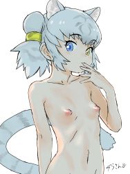 Rule 34 | 10s, 1girl, absurdres, animal ears, blue eyes, breasts, byakko (kemono friends), collarbone, extra ears, hand up, heterochromia, highres, kemono friends, masuyama ryou, nipples, nude, out-of-frame censoring, short hair, simple background, small breasts, solo, striped tail, tail, tiger ears, tiger tail, white background, white hair, yellow eyes