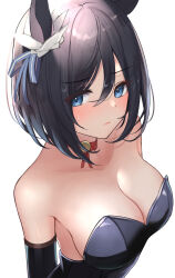 Rule 34 | 1girl, arm up, black hair, blue eyes, blush, breasts, collarbone, commentary request, detached sleeves, eishin flash (umamusume), hair ornament, highres, horse girl, leotard, looking at viewer, medium breasts, medium hair, playboy bunny, portrait, simple background, solo, takmi, umamusume, white background