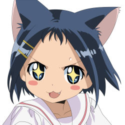 Rule 34 | + +, 1girl, :3, animal ears, cat ears, highres, ikeda kana, saki (manga), solo, vector trace