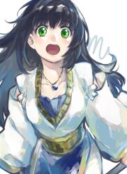 Rule 34 | 1girl, black hair, breasts, dress, gensou suikoden, green eyes, highres, ikunosake, jewelry, long hair, long sleeves, looking at viewer, medium breasts, necklace, open mouth, simple background, solo, staff, viki (suikoden), white background