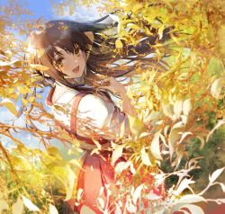 Rule 34 | 1girl, 888myrrh888, :d, blue sky, branch, brown hair, commentary request, dress, hakama, hakama short skirt, hakama skirt, highres, japanese clothes, leaf, long hair, looking at viewer, looking back, open mouth, original, red dress, shirt, skirt, sky, sleeves rolled up, smile, white shirt, yellow eyes
