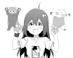 Rule 34 | 1girl, ahoge, anteater, blush, claw pose, collarbone, commentary, dot nose, greyscale, hair between eyes, hair ornament, hands up, idolmaster, idolmaster million live!, long hair, looking at viewer, minazuki tooru, mochizuki anna, monochrome, open mouth, print shirt, red panda, shirt, short sleeves, sidelocks, star (symbol), star hair ornament, t-shirt, teeth, upper body, upper teeth only, v-shaped eyebrows, white background, wristband