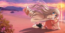 Rule 34 | 1girl, barefoot, beach, blue eyes, bottomless, cape, cat, dog, floating hair, flower, head tilt, kud wafter, lens flare, little busters!, long hair, looking at viewer, looking back, na-ga, noumi kudryavka, ocean, outdoors, pink shirt, puppy, shirt, silver hair, sitting, solo, sun, very long hair