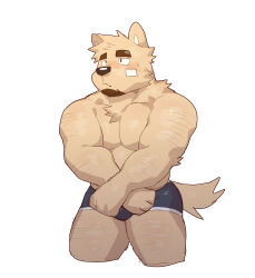 Rule 34 | 1boy, abs, absurdres, animal ears, arm hair, bandaid, bandaid on cheek, bandaid on face, bara, blue male underwear, blush, boxer briefs, cropped legs, dog boy, dog ears, facial hair, furry, furry male, goatee, highres, large pectorals, leg hair, looking to the side, lveink, male focus, male underwear, muscular, muscular male, nipples, original, pectoral squeeze, pectorals, short hair, shy, sideburns, solo, stomach, sweatdrop, thick eyebrows, thick thighs, thighs, topless male, underwear, underwear only